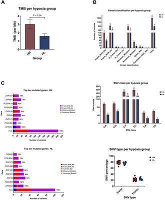 Chronic hypoxia is associated with transcriptomic reprogramming and increased genomic instability in cancer cells